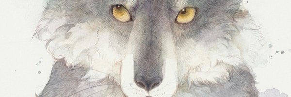 ransui_ Profile Banner