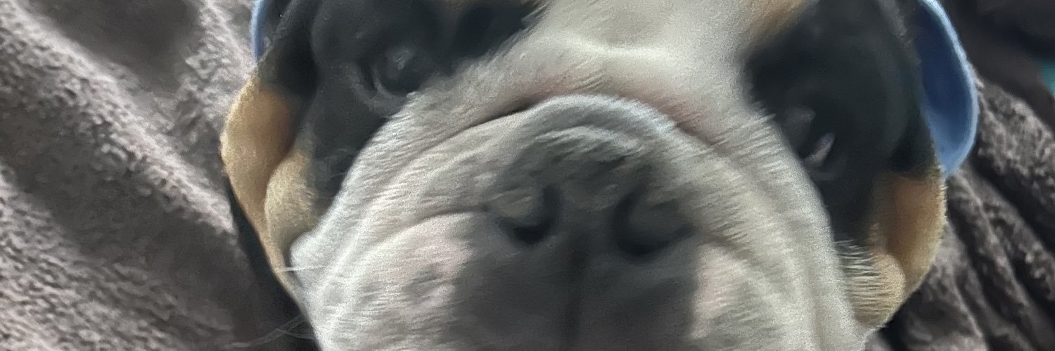 Marycontrers's profile banner image