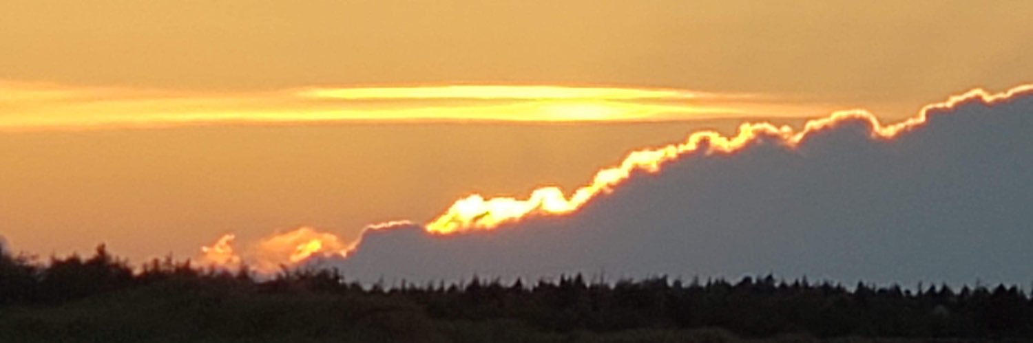 DSimms72's profile banner image