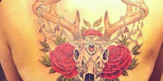 EmilySievert's profile banner image