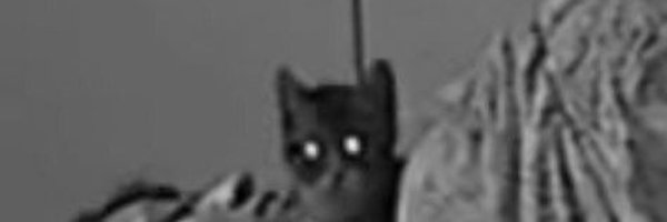 felixootori Profile Banner