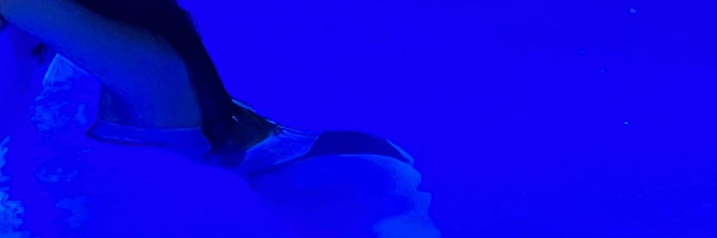 Jimena🍒 banner