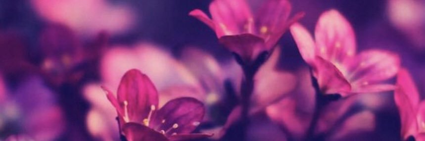 JohaRomero_'s profile banner image