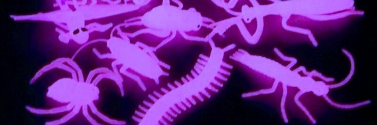 Moth 👁️ MOVED TO 🦋☁️ banner