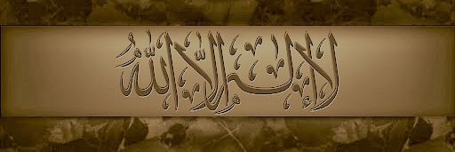 _DL_AAL's profile banner image