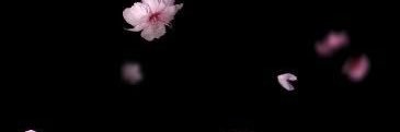 AriamJRM's profile banner image