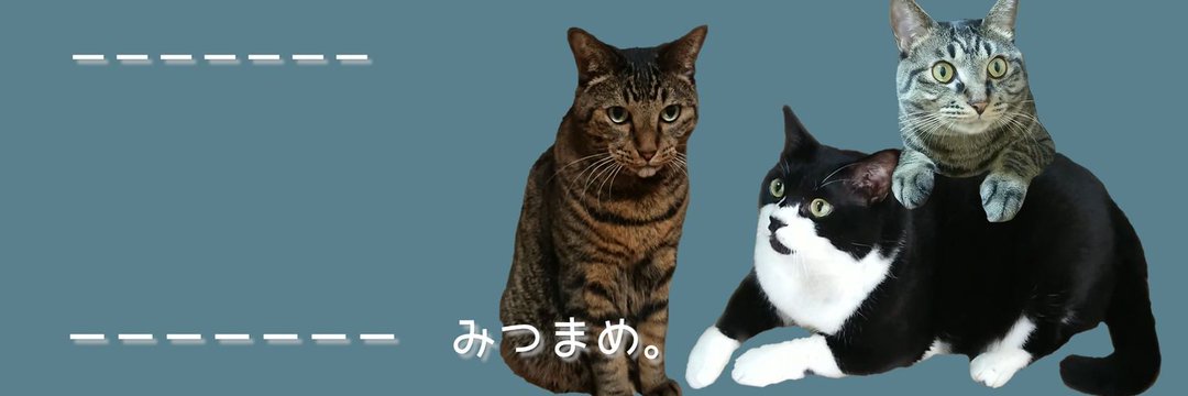 みつまめ。 banner