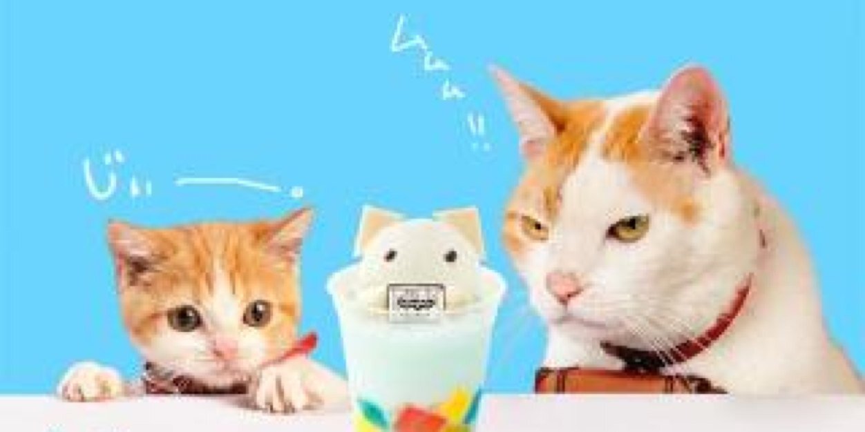 tamappy's profile banner image