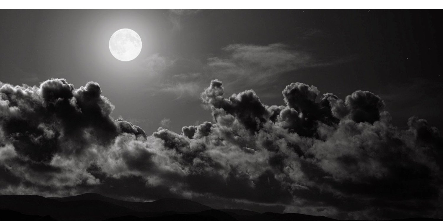 ms_alotibi511's profile banner image