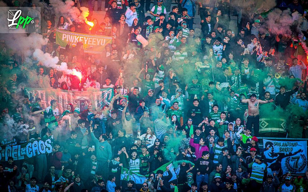 PerroDeTemuco banner