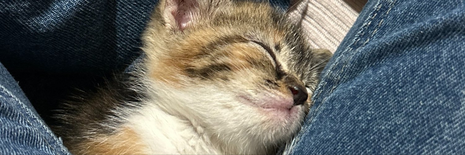 lihujk7's profile banner image