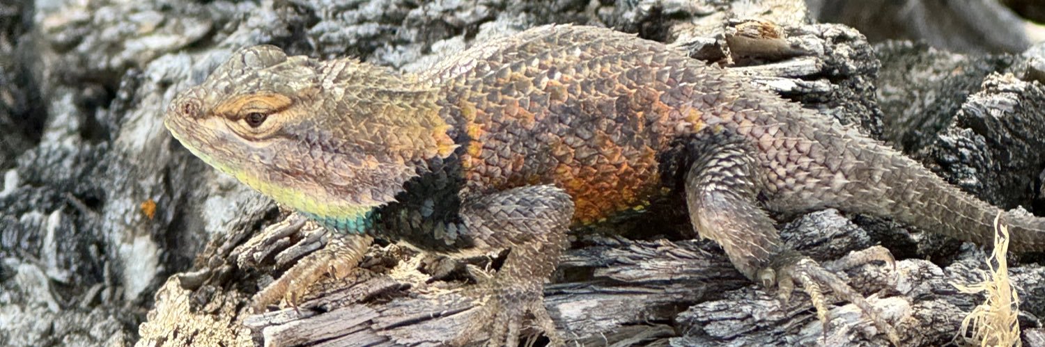 Clayton Smith banner