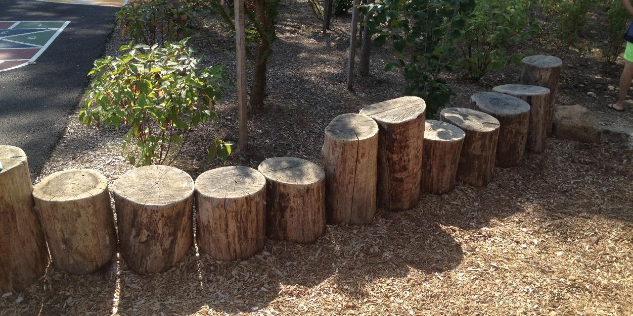 Kristin Scotchmer banner