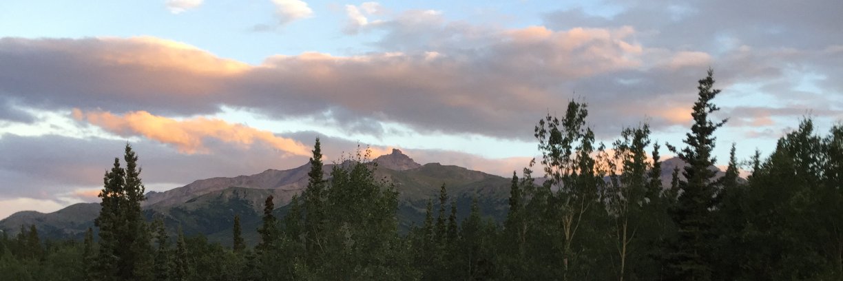 EllieMPR's profile banner image