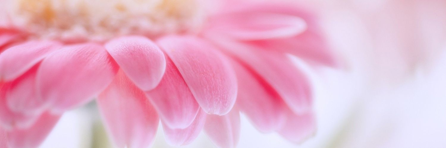 Kulliwafa's profile banner image