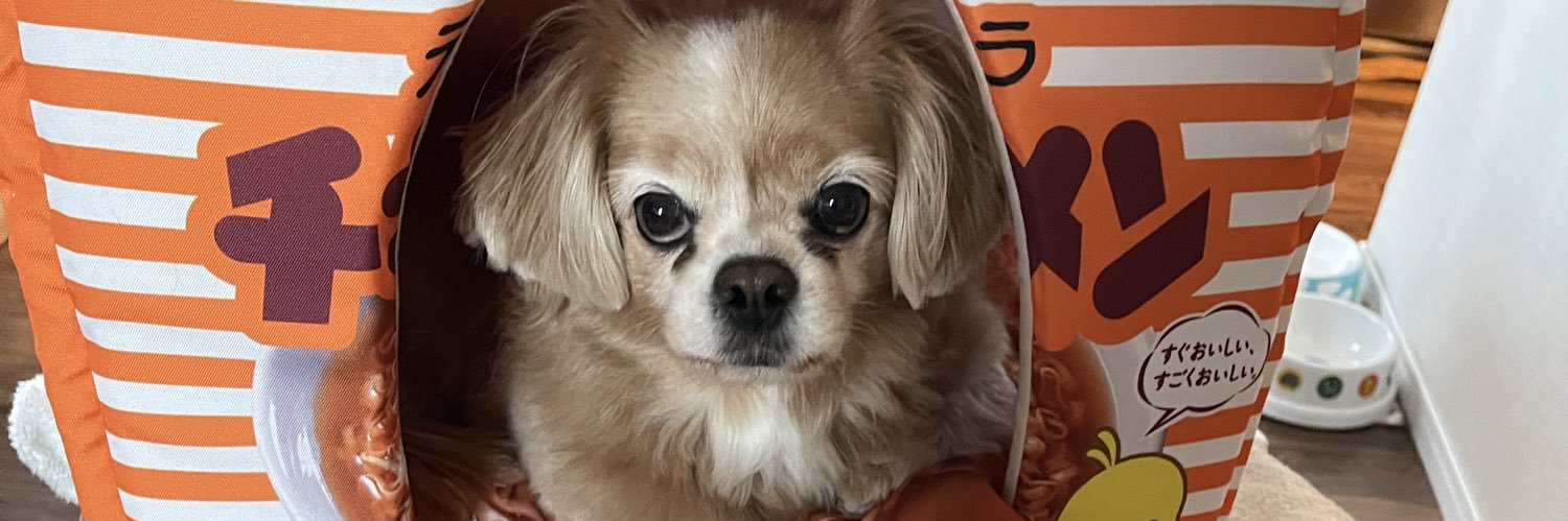 Daruma_Version0.05.vpb banner