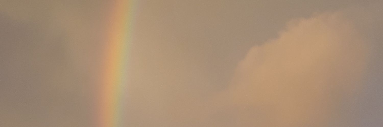 BcLauriane's profile banner image