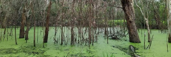 kelvinparam Profile Banner