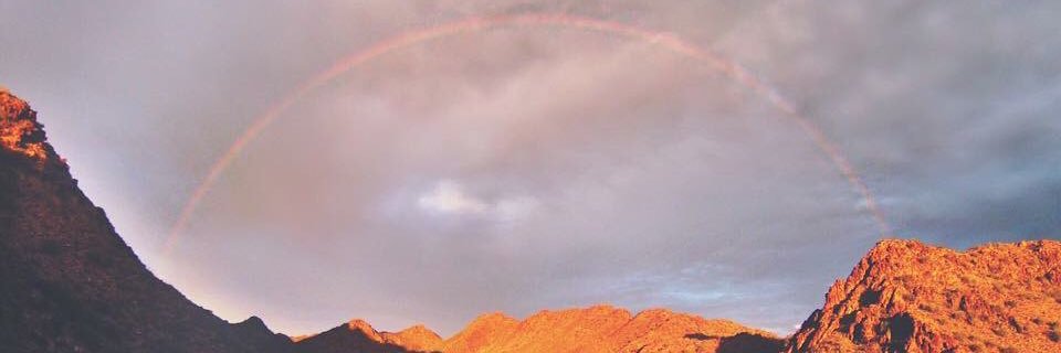 kendraacarter's profile banner image