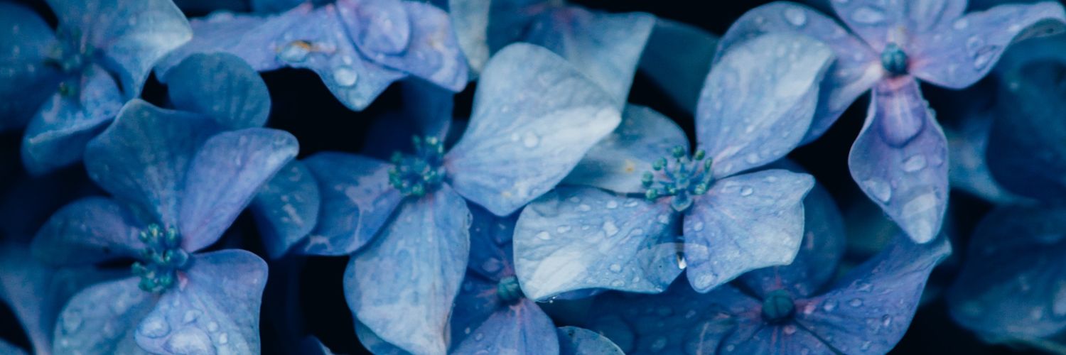 64Lotus__'s profile banner image