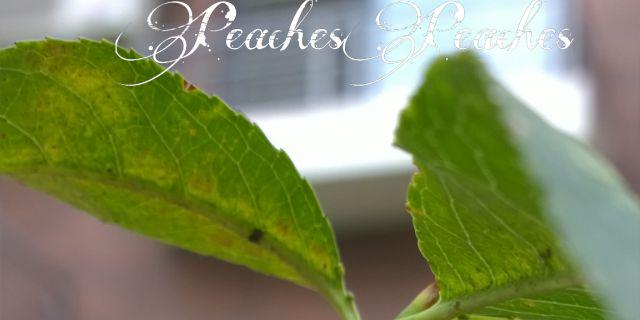 Lullu_93's profile banner image