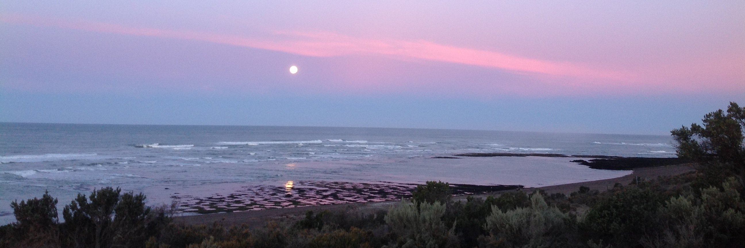 María Leoní Gaffet banner