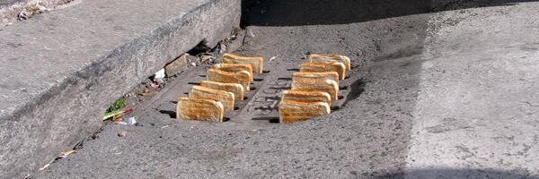 Sophie Meehan banner