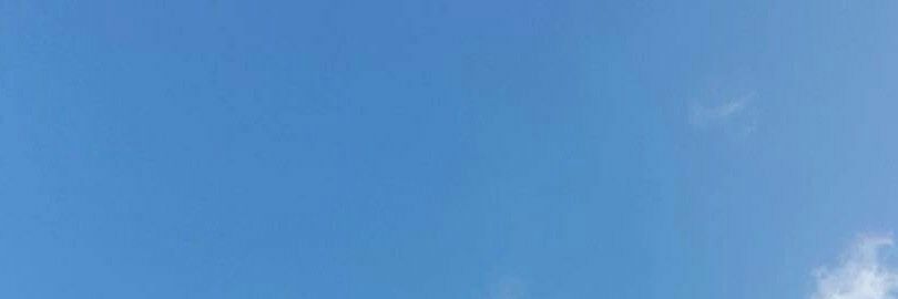 araa banner