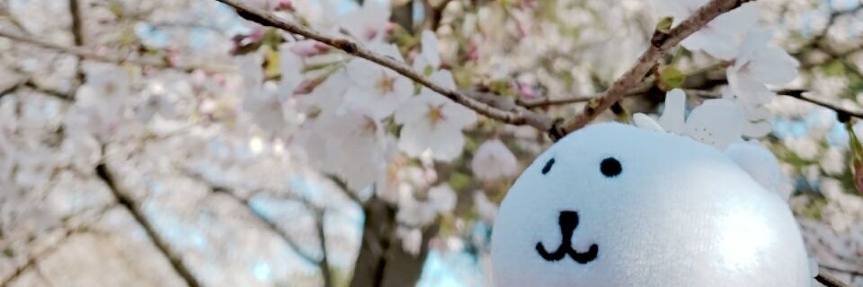 ひよこ's banner