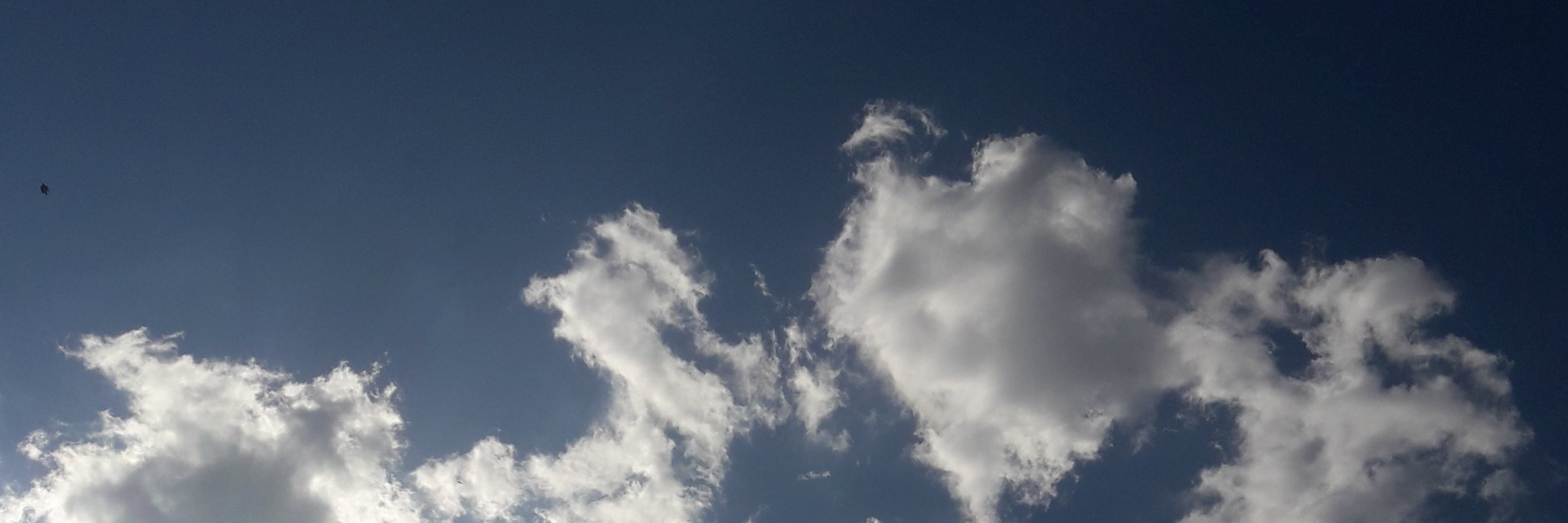 Roomi05's profile banner image