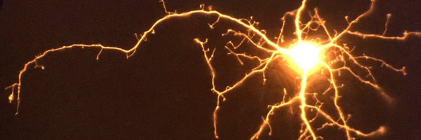 ShanRhoads Profile Banner