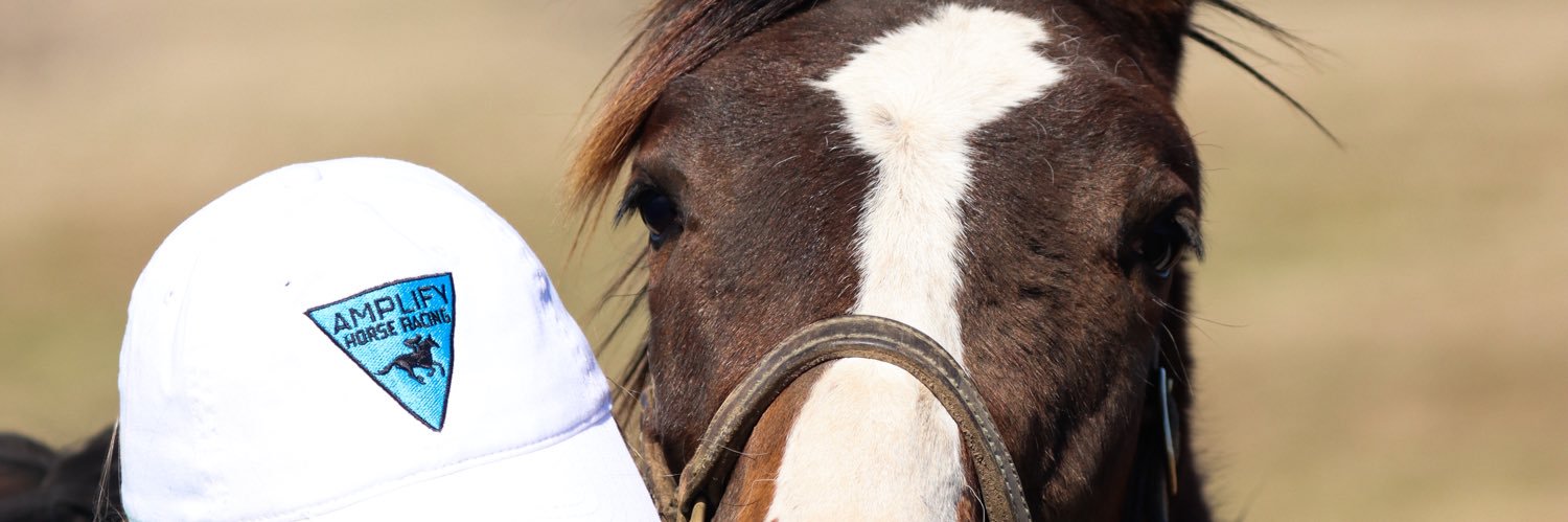 Amplify Horse Racing's banner