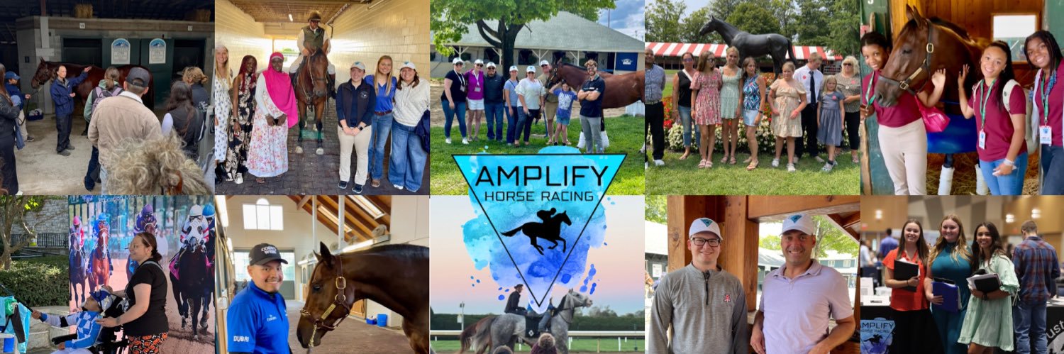 Amplify Horse Racing banner