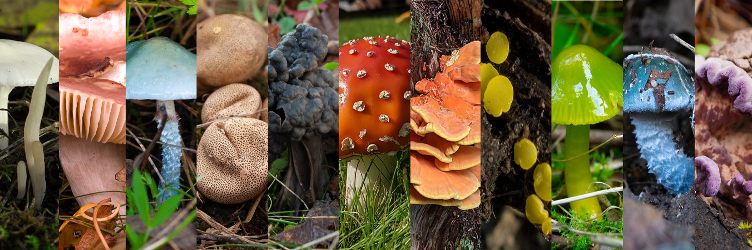 Knowing Nature Podcast banner