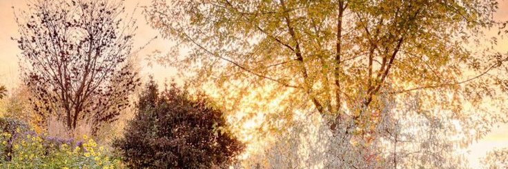 rewi banner