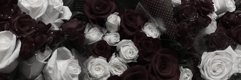 ?? banner