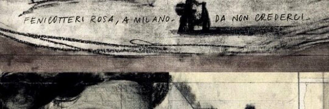 mayo banner
