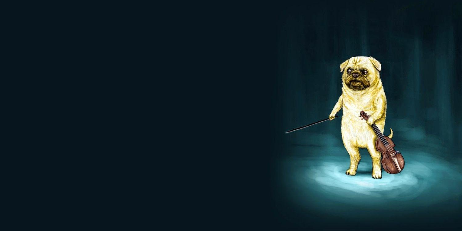 Girrou's profile banner image