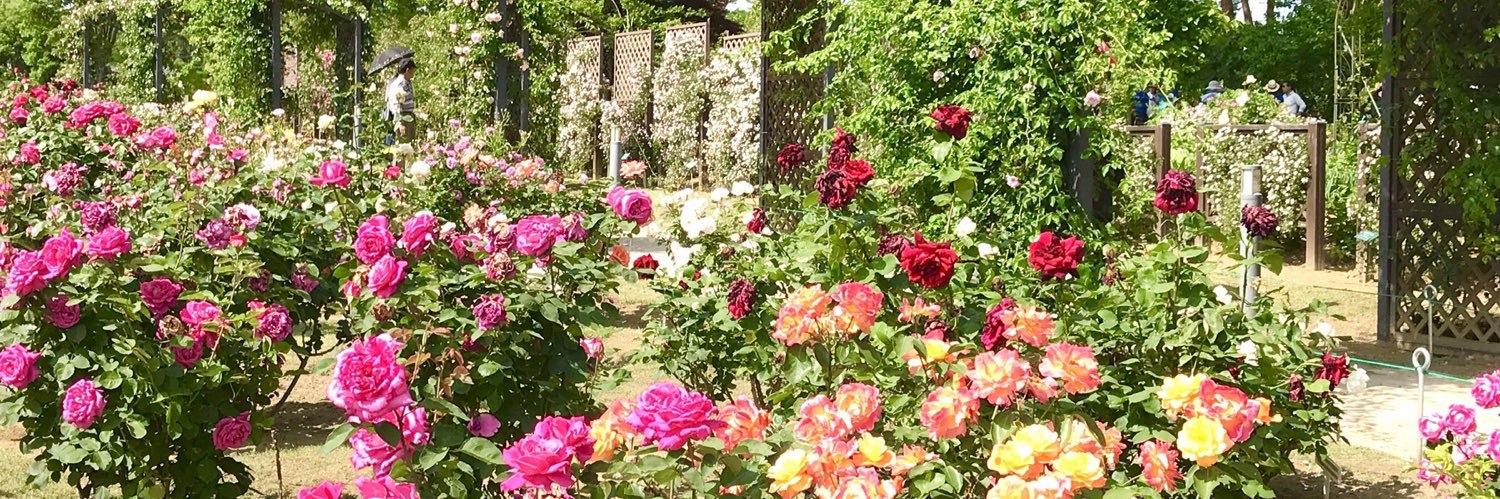 kotono84's profile banner image