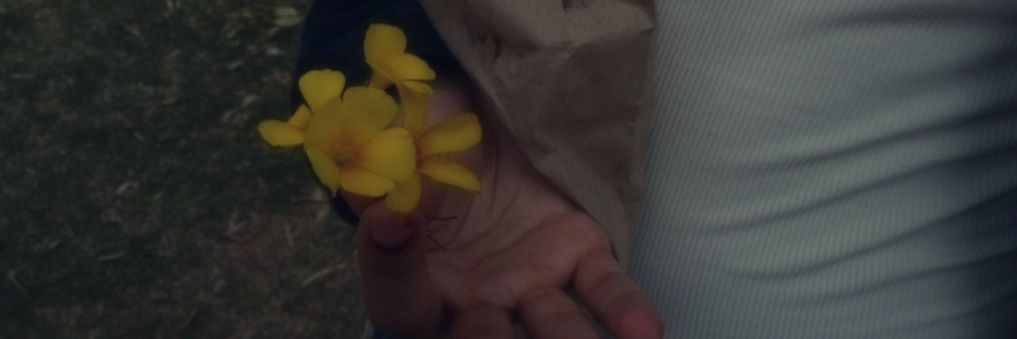 lanGUIsSivila's profile banner image