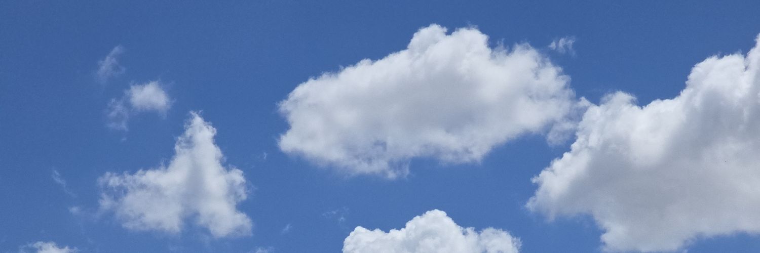 ♡𝚙𝚙𝚎.𝚠𝚛𝚝♡ banner