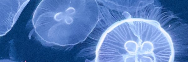 ___nap7hrs's profile banner image
