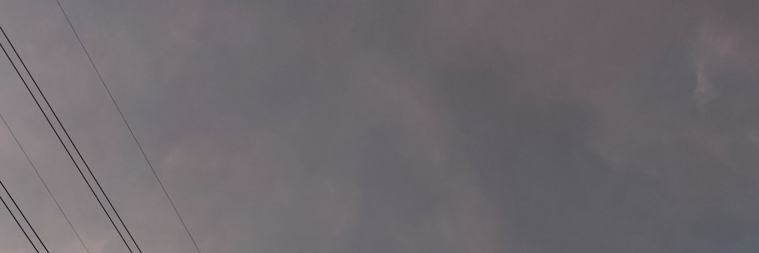 lynlinna's profile banner image