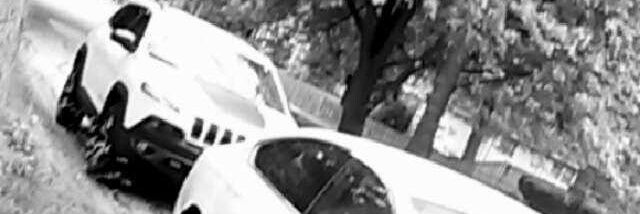 She_NotReady's profile banner image