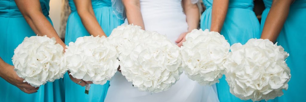 jeni_holman's profile banner image