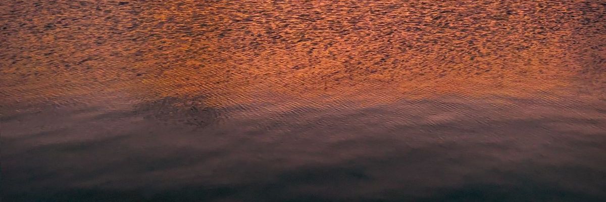 Shamputty's profile banner image