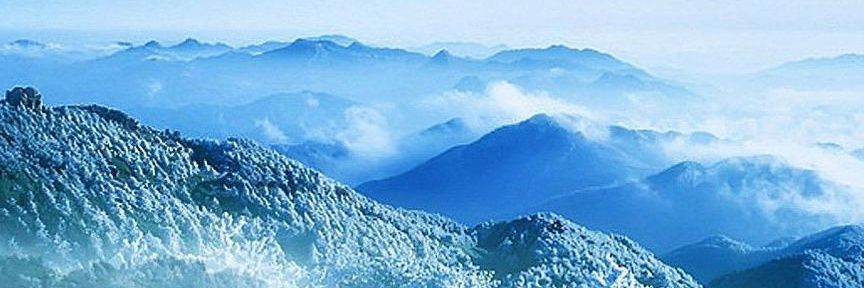 DTB9386's profile banner image