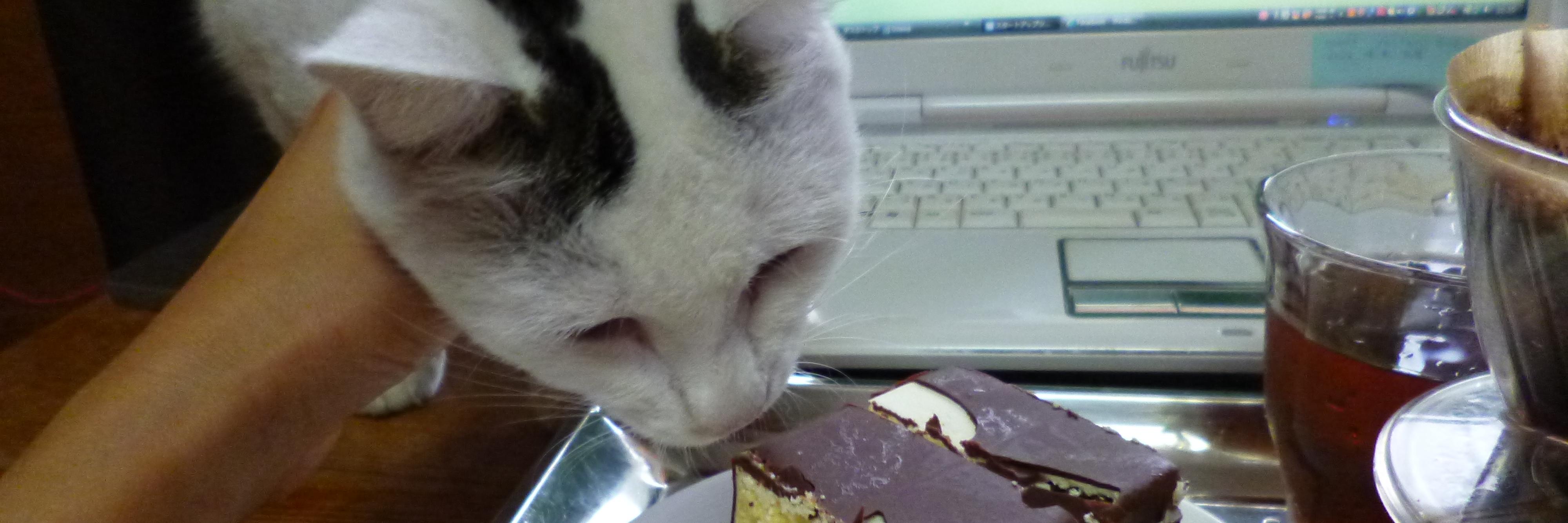 petitmol's profile banner image