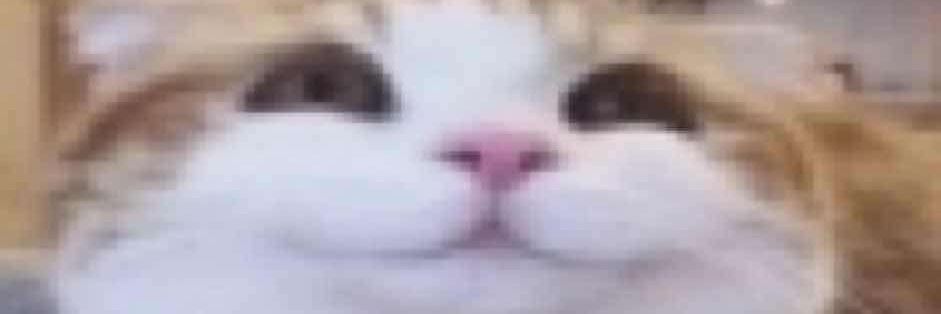 sabbty's profile banner image