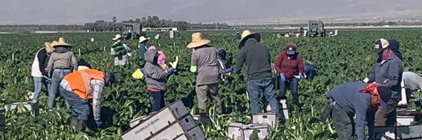 CA_LaborCommish Profile Banner